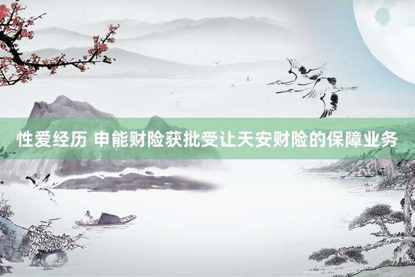 性爱经历 申能财险获批受让天安财险的保障业务