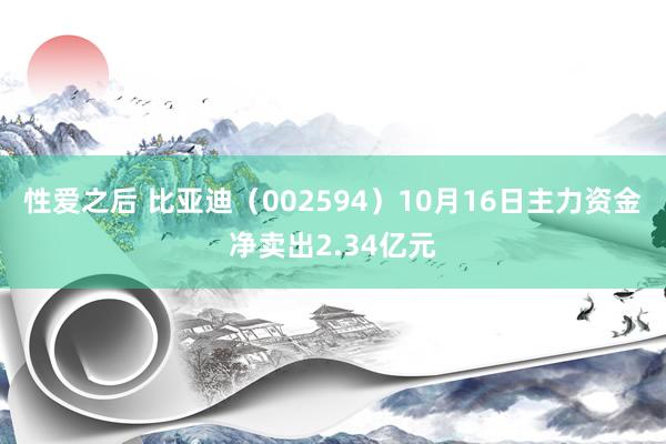 性爱之后 比亚迪（002594）10月16日主力资金净卖出2.34亿元