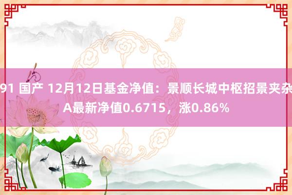 91 国产 12月12日基金净值：景顺长城中枢招景夹杂A最新净值0.6715，涨0.86%