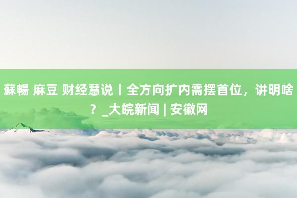 蘇暢 麻豆 财经慧说丨全方向扩内需摆首位，讲明啥？_大皖新闻 | 安徽网