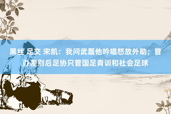 黑丝 足交 宋凯：我问武磊他吟唱怒放外助；管办差别后足协只管国足青训和社会足球