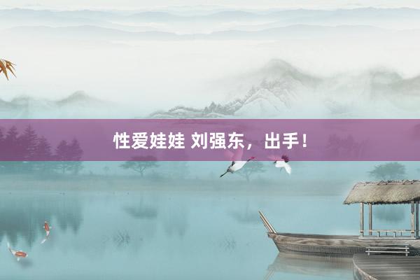 性爱娃娃 刘强东，出手！