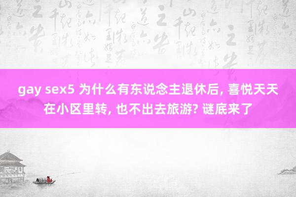 gay sex5 为什么有东说念主退休后， 喜悦天天在小区里转， 也不出去旅游? 谜底来了