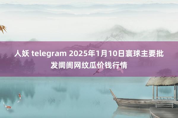 人妖 telegram 2025年1月10日寰球主要批发阛阓网纹瓜价钱行情