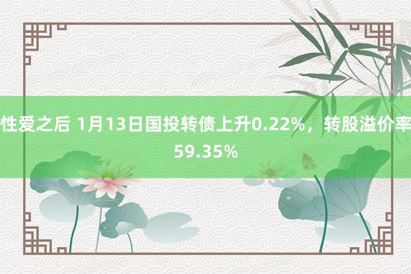 性爱之后 1月13日国投转债上升0.22%，转股溢价率59.35%