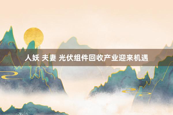 人妖 夫妻 光伏组件回收产业迎来机遇