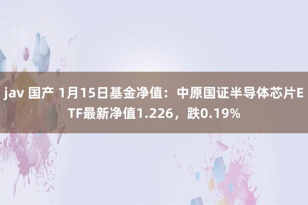 jav 国产 1月15日基金净值：中原国证半导体芯片ETF最新净值1.226，跌0.19%