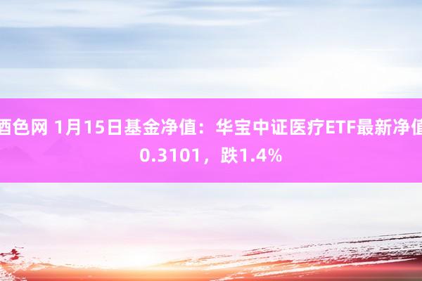 酒色网 1月15日基金净值：华宝中证医疗ETF最新净值0.3101，跌1.4%