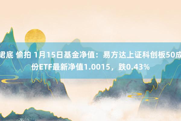 裙底 偷拍 1月15日基金净值：易方达上证科创板50成份ETF最新净值1.0015，跌0.43%