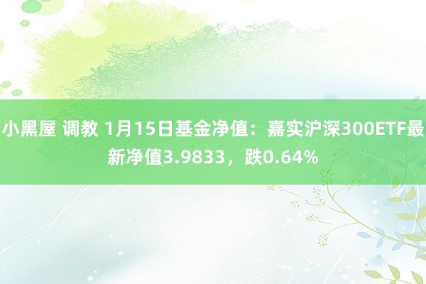 小黑屋 调教 1月15日基金净值：嘉实沪深300ETF最新净值3.9833，跌0.64%