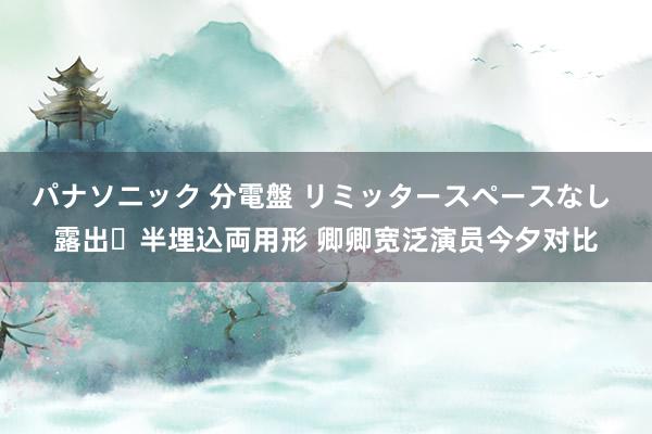 パナソニック 分電盤 リミッタースペースなし 露出・半埋込両用形 卿卿宽泛演员今夕对比