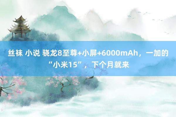 丝袜 小说 骁龙8至尊+小屏+6000mAh，一加的“小米15”，下个月就来