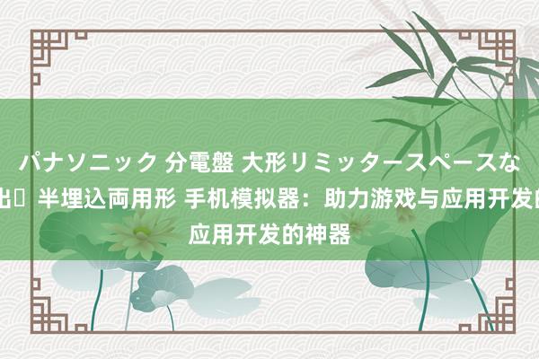 パナソニック 分電盤 大形リミッタースペースなし 露出・半埋込両用形 手机模拟器：助力游戏与应用开发的神器