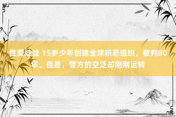 性爱娃娃 15岁少年创建全球积恶组织，被判80年。但是，警方的空泛却刚刚运转