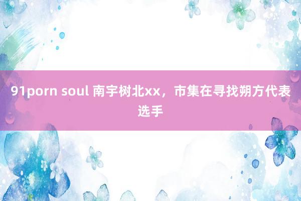 91porn soul 南宇树北xx，市集在寻找朔方代表选手