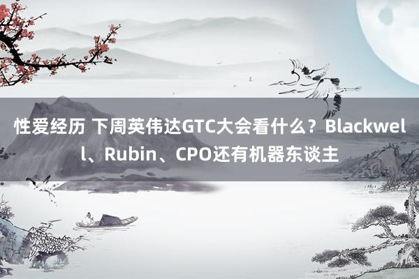 性爱经历 下周英伟达GTC大会看什么？Blackwell、Rubin、CPO还有机器东谈主