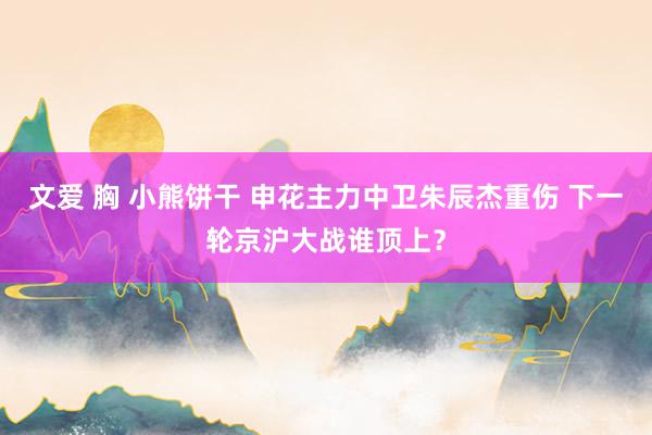 文爱 胸 小熊饼干 申花主力中卫朱辰杰重伤 下一轮京沪大战谁顶上？
