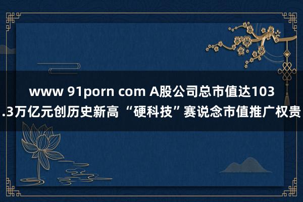 www 91porn com A股公司总市值达103.3万亿元创历史新高 “硬科技”赛说念市值推广权贵