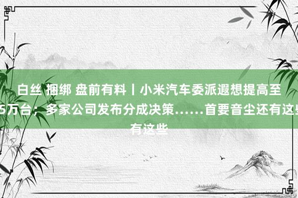 白丝 捆绑 盘前有料丨小米汽车委派遐想提高至35万台；多家公司发布分成决策……首要音尘还有这些