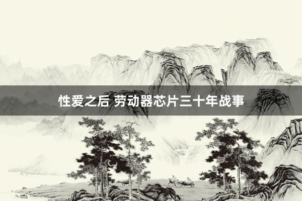 性爱之后 劳动器芯片三十年战事