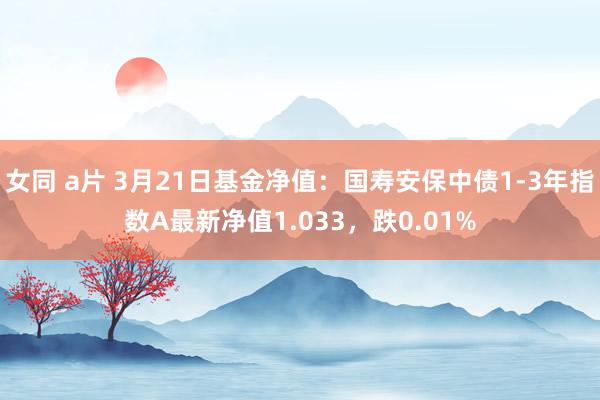 女同 a片 3月21日基金净值：国寿安保中债1-3年指数A最新净值1.033，跌0.01%