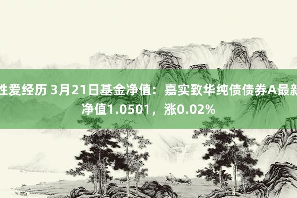 性爱经历 3月21日基金净值：嘉实致华纯债债券A最新净值1.0501，涨0.02%