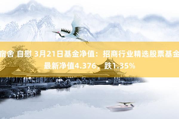 宿舍 自慰 3月21日基金净值：招商行业精选股票基金最新净值4.376，跌1.35%