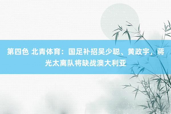 第四色 北青体育：国足补招吴少聪、黄政宇，蒋光太离队将缺战澳大利亚