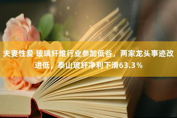 夫妻性爱 玻璃纤维行业参加低谷，两家龙头事迹改进低，泰山玻纤净利下滑63.3％