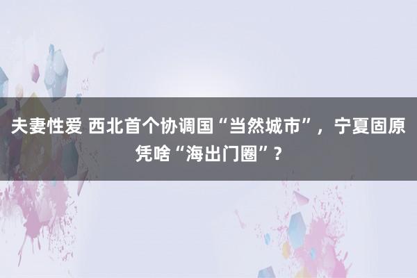 夫妻性爱 西北首个协调国“当然城市”，宁夏固原凭啥“海出门圈”？