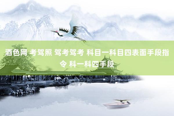 酒色网 考驾照 驾考驾考 科目一科目四表面手段指令 科一科四手段