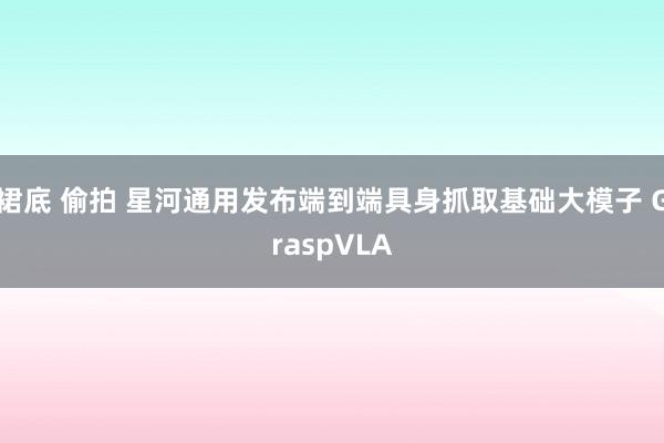 裙底 偷拍 星河通用发布端到端具身抓取基础大模子 GraspVLA