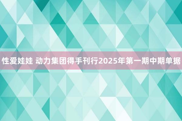 性爱娃娃 动力集团得手刊行2025年第一期中期单据