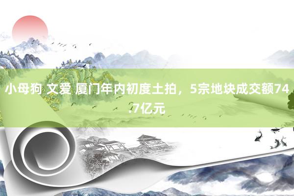 小母狗 文爱 厦门年内初度土拍，5宗地块成交额74.7亿元