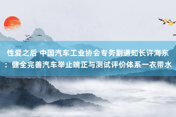 性爱之后 中国汽车工业协会专务副通知长许海东：健全完善汽车举止端正与测试评价体系一衣带水