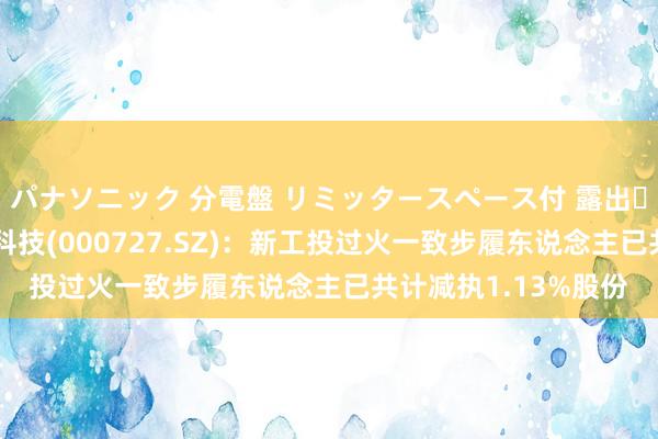 パナソニック 分電盤 リミッタースペース付 露出・半埋込両用形 冠捷科技(000727.SZ)：新工投过火一致步履东说念主已共计减执1.13%股份