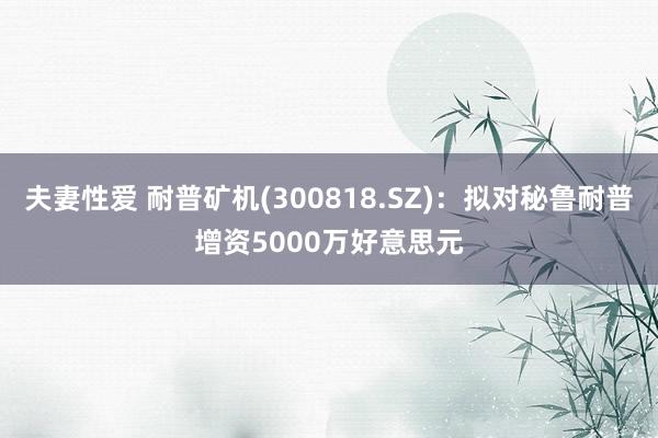 夫妻性爱 耐普矿机(300818.SZ)：拟对秘鲁耐普增资5000万好意思元