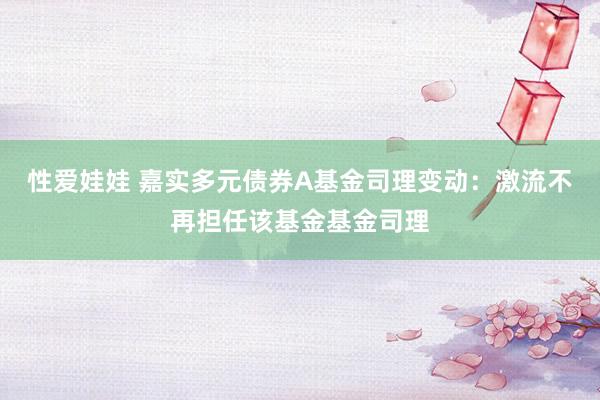 性爱娃娃 嘉实多元债券A基金司理变动：激流不再担任该基金基金司理