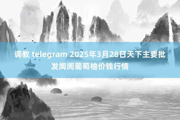 调教 telegram 2025年3月28日天下主要批发阛阓葡萄柚价钱行情
