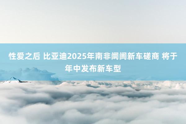 性爱之后 比亚迪2025年南非阛阓新车磋商 将于年中发布新车型