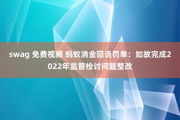 swag 免费视频 蚂蚁消金回话罚单：如故完成2022年监管检讨问题整改