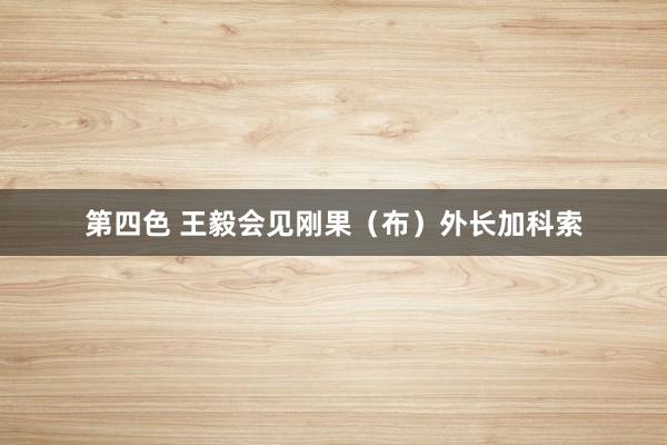 第四色 王毅会见刚果（布）外长加科索