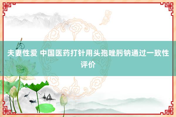 夫妻性爱 中国医药打针用头孢唑肟钠通过一致性评价