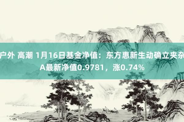 户外 高潮 1月16日基金净值：东方惠新生动确立夹杂A最新净值0.9781，涨0.74%
