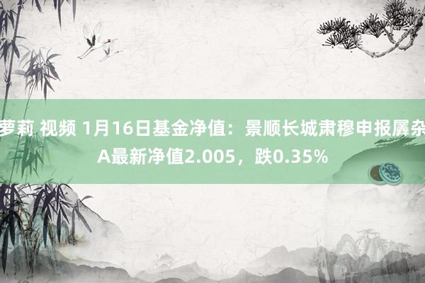 萝莉 视频 1月16日基金净值：景顺长城肃穆申报羼杂A最新净值2.005，跌0.35%