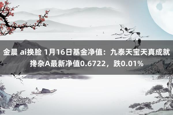 金晨 ai换脸 1月16日基金净值：九泰天宝天真成就搀杂A最新净值0.6722，跌0.01%