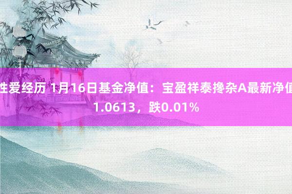 性爱经历 1月16日基金净值：宝盈祥泰搀杂A最新净值1.0613，跌0.01%