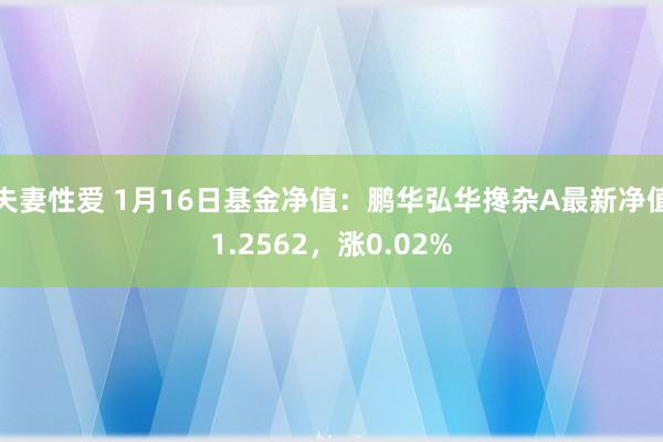 夫妻性爱 1月16日基金净值：鹏华弘华搀杂A最新净值1.2562，涨0.02%