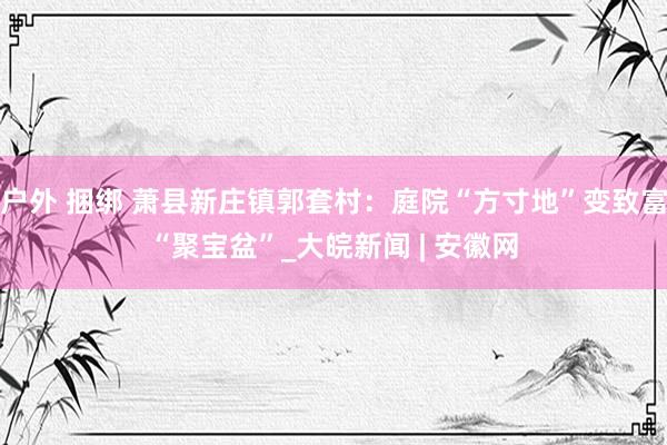 户外 捆绑 萧县新庄镇郭套村：庭院“方寸地”变致富“聚宝盆”_大皖新闻 | 安徽网