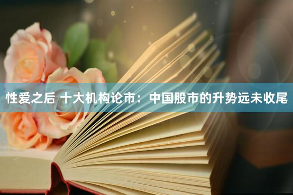 性爱之后 十大机构论市：中国股市的升势远未收尾
